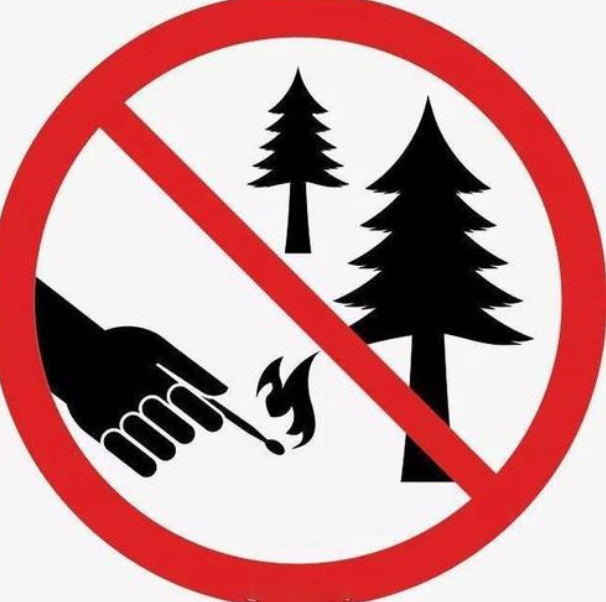 山西省出台《关于进一步加强森林草原防火工作的意见》