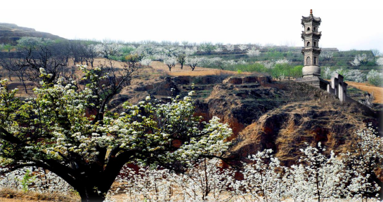 来吧，这里是原平