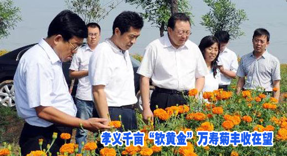 中国·孝义:图片报道