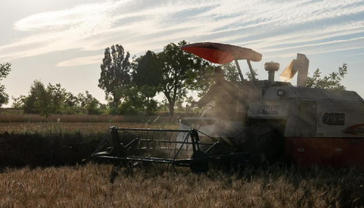 山西省夏粮喜获丰收 小麦播种面积、单产、总产均增