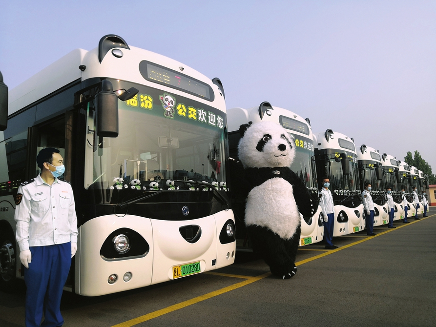 临汾“熊猫公交”上路　有颜又有“料”