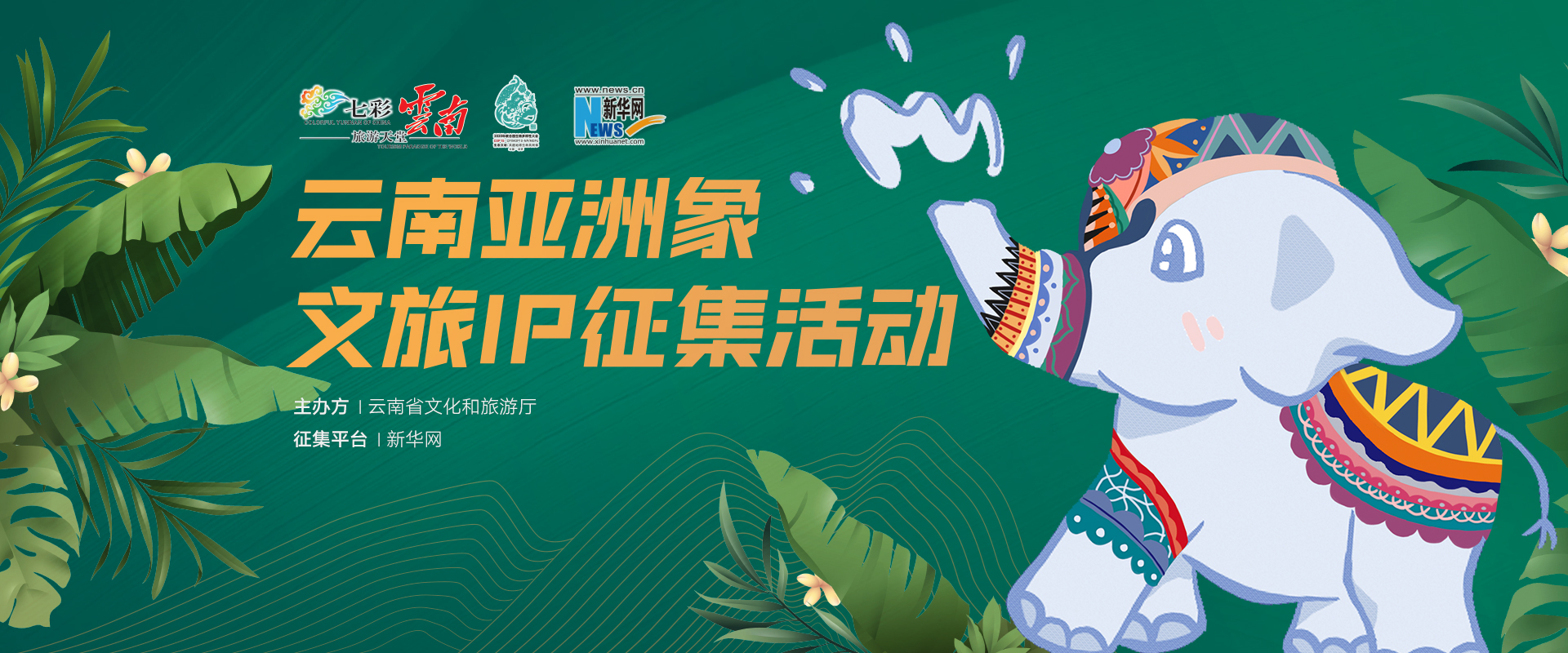 “云南亚洲象文旅IP征集活动”启动