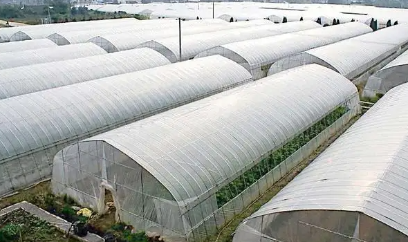 2021年，山西省蔬菜面积产量呈现双增长