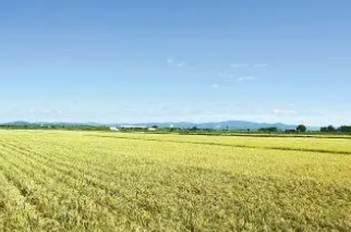 山西省“十四五”有机旱作农业发展规划确定十大工程
