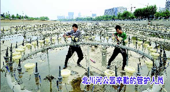 北川河公园辛勤的管护人员