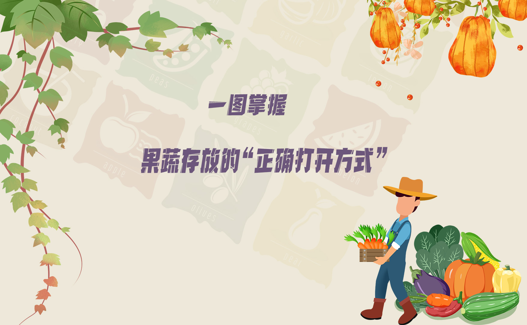 【健康解码】一图掌握果蔬存放的“正确打开方式”