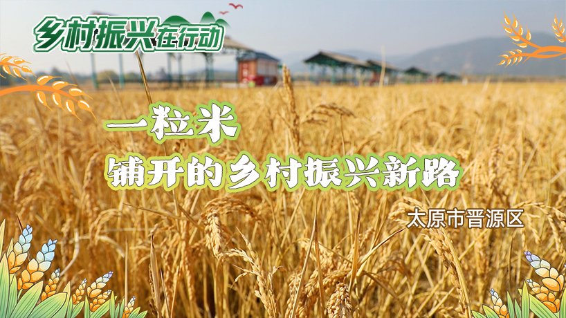 太原市晋源区:一粒米铺开的乡村振兴新路