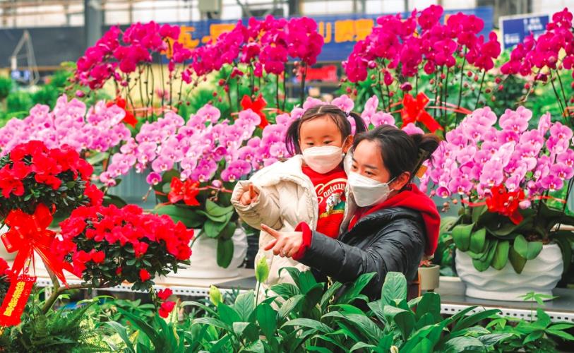 花团锦簇 喜迎新年