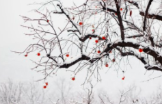 太原发布空气质量保障调度令