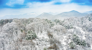 春雪落太行