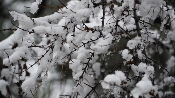 晉中和順：雪淞景觀宛如仙境