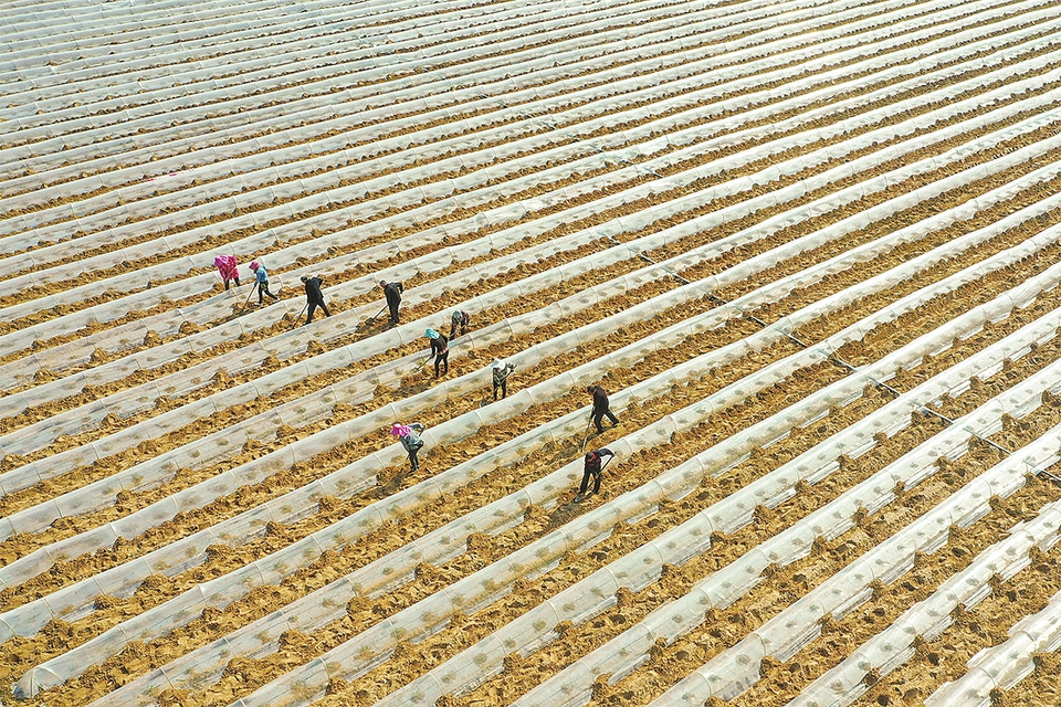 科技助农促增收