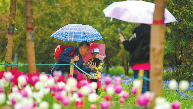 雨中漫步 享美景