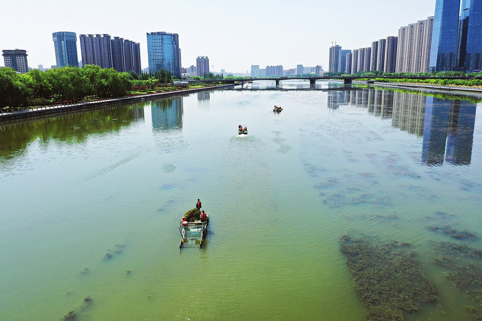 為汾河“美容”