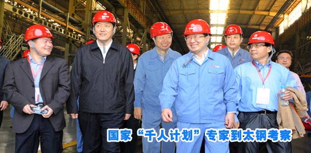 国家“千人计划”专家到太钢考察