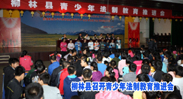 柳林县召开青少年法制教育推进会