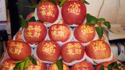 吉县:苹果带来大变化