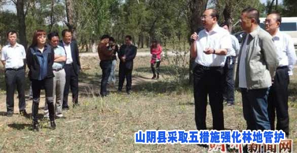 山阴县采取五措施强化林地管护