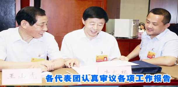各代表团认真审议各项工作报告