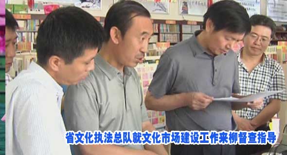 省文化执法总队就文化市场建设工作来柳督查指导