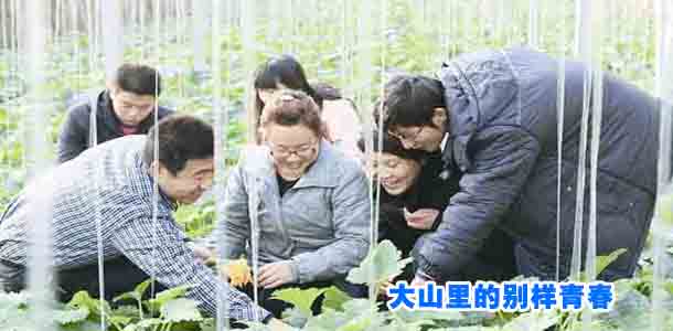 大山里的别样青春