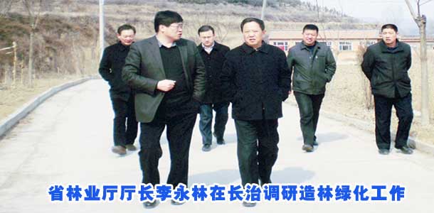 省林业厅厅长李永林在长治调研造林绿化工作