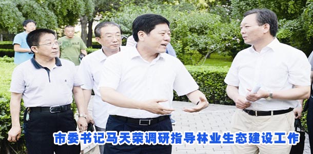 市委书记马天荣调研指导林业生态建设工作