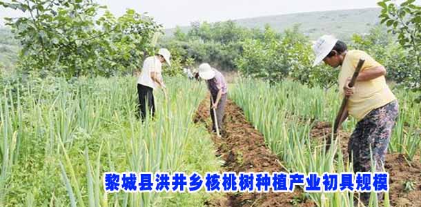 图片新闻