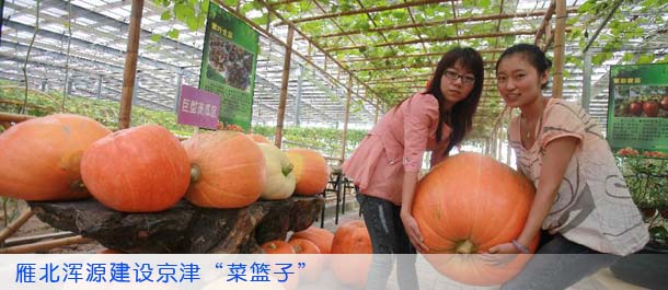 雁北浑源建设京津“菜篮子”