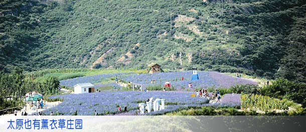 图片新闻:新华网山西频道