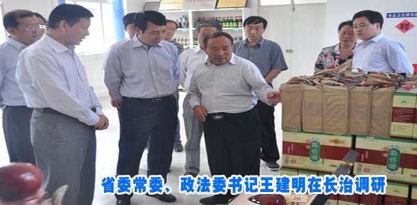 省委常委、政法委书记王建明在我市调研