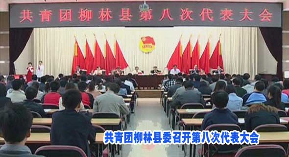 共青团柳林县委召开第八次代表大会