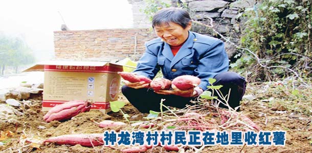图片新闻