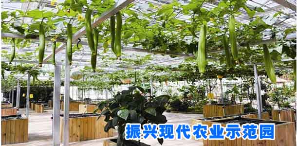 振兴现代农业示范园