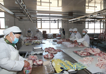 打造全国肉羊养殖第一县