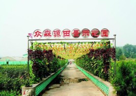 镇城底：以“绿”为主谋跨越