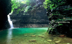 泽州猕猴自然保护区