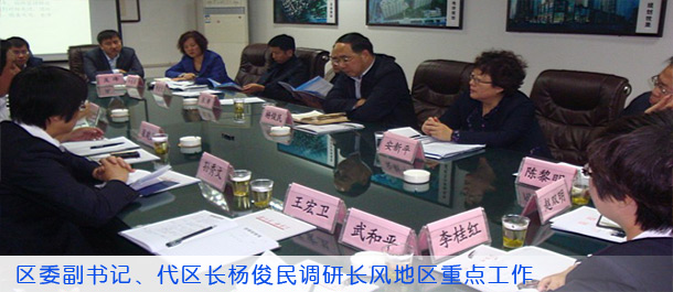 区委副书记、代区长杨俊民调研长风地区重点工作