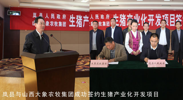 岚县与山西大象农牧集团成功签约生猪产业化开发项目
