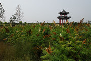 西山森林公园