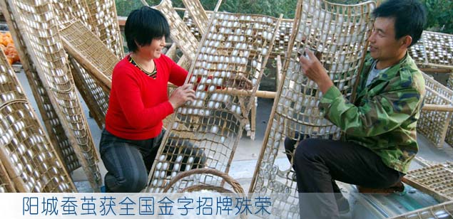 阳城蚕茧获全国金字招牌殊荣