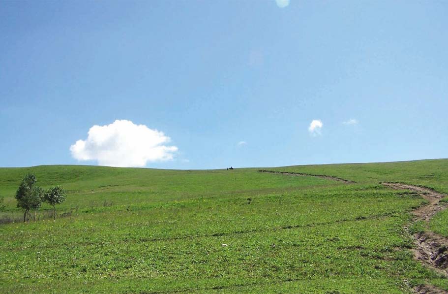 空中草原风景区