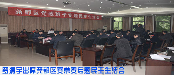 罗清宇出席尧都区委常委专题民主生活会