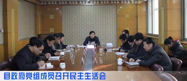 县政府党组成员召开民主生活会