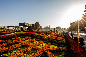 “美丽晋城”花展网上看——泽州公园