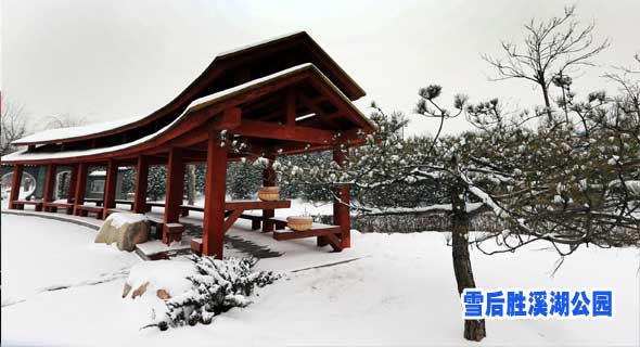 雪后胜溪湖公园