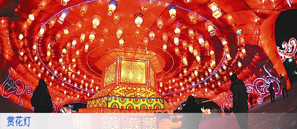 赏花灯