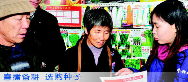 春播备耕 选购种子