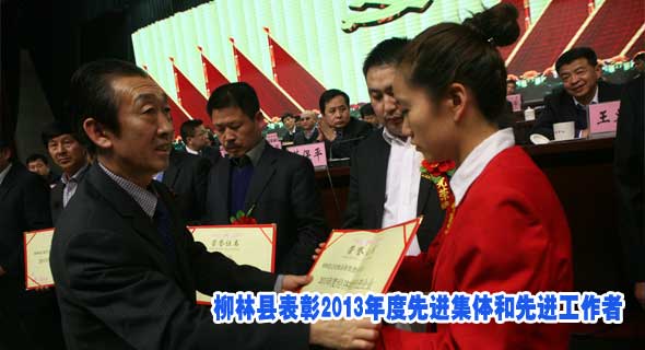 柳林县表彰2013年度先进集体和先进工作者