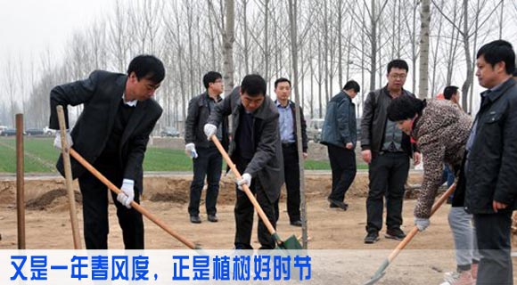 又是一年春风度，正是植树好时节